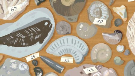 Mary Anning 5